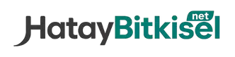 Hatay Bitkisel